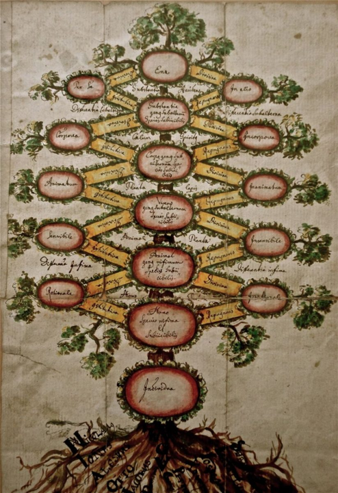 A hand-painted illustration of the Arbor Porphyriana from a Renaissance-era German manuscript. The diagram uses a tree motif with green foliage, red roundels for universal categories (Substance, Body, Animal), and yellow banners for differentiae. Uniquely, the bottom "Individual" category is rooted in specific names written in a German bastard secretary hand—"Niclas," "Johannes," and "Otto"—personalizing the abstract logical structure.