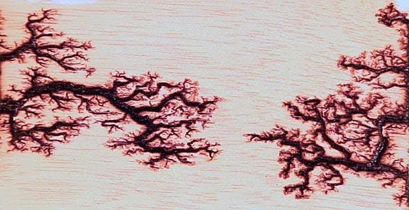 Macro photograph of Lichtenberg figures; fractal electrical branching; physical manifestation of processing limits.